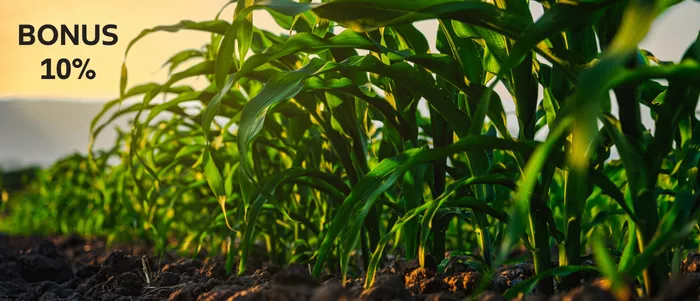 Bonus 10% pre pestovateľov kukurice DEKALB